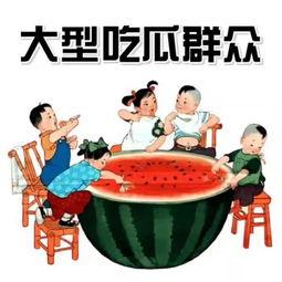 2022年娱乐吃瓜群众,吃瓜群众年度盘点