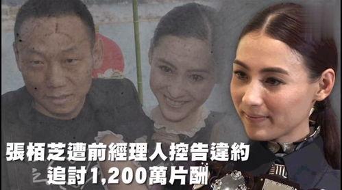 娱乐吃瓜风格,明星们的“瓜田”奇遇记！