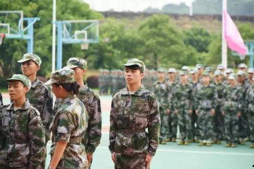 娱乐吃瓜军,吃瓜军背后的故事与真相