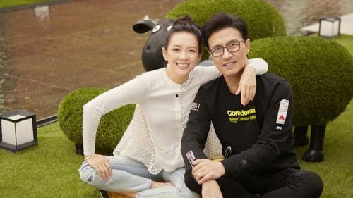 娱乐圈吃瓜神图,明星幕后真相大曝光