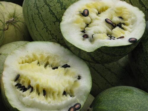 娱乐718吃瓜上不去了,揭秘吃瓜群众为何上不去的神秘现象