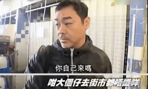 娱乐吃瓜群众明星有哪些,盘点近期热门明星动态