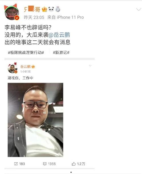 娱乐圈辟谣吃瓜