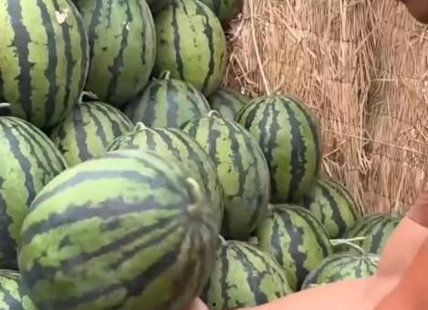 全娱乐吃瓜,揭秘娱乐圈背后的那些事儿