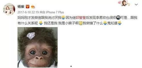 理智吃瓜娱乐,揭秘娱乐圈背后的真实故事